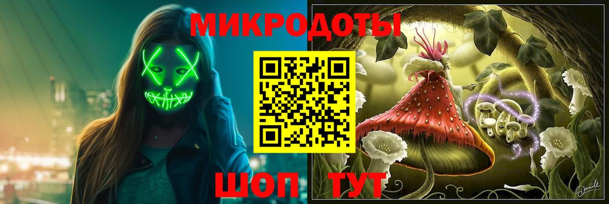 Псилоцибиновые грибы GOLDEN TEACHER Балтийск