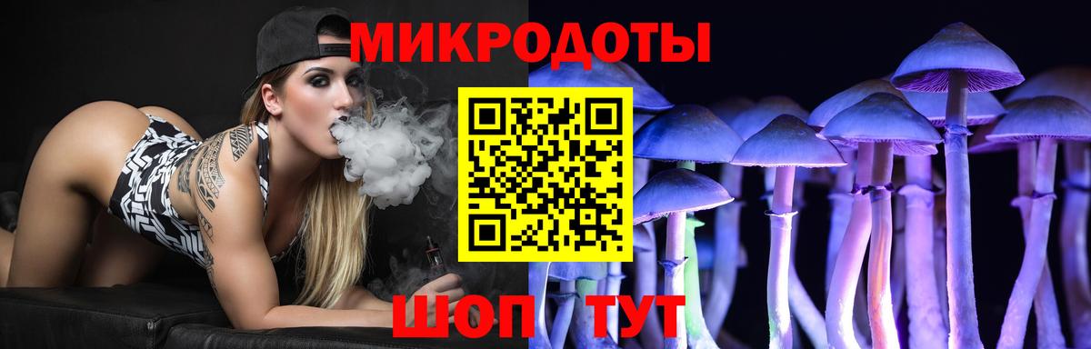 Псилоцибиновые грибы GOLDEN TEACHER  где найти наркотики  Вход с VPN  Балтийск  Галлюциногенные грибы GOLDEN TEACHER 